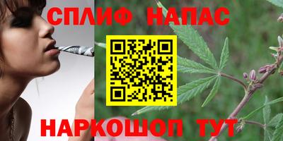 соль ск Ипатово