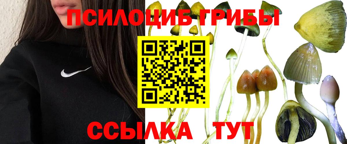Жуковский  Галлюциногенные грибы Cubensis  Галлюциногенные грибы мухоморы  Вход с VPN 